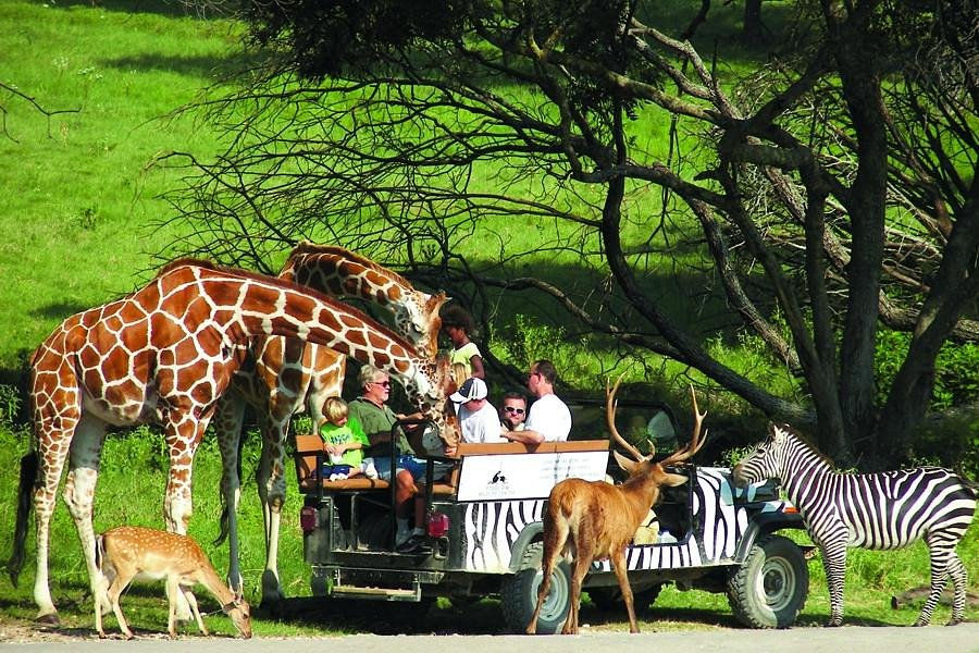 Fossil Rim Wildlife Center