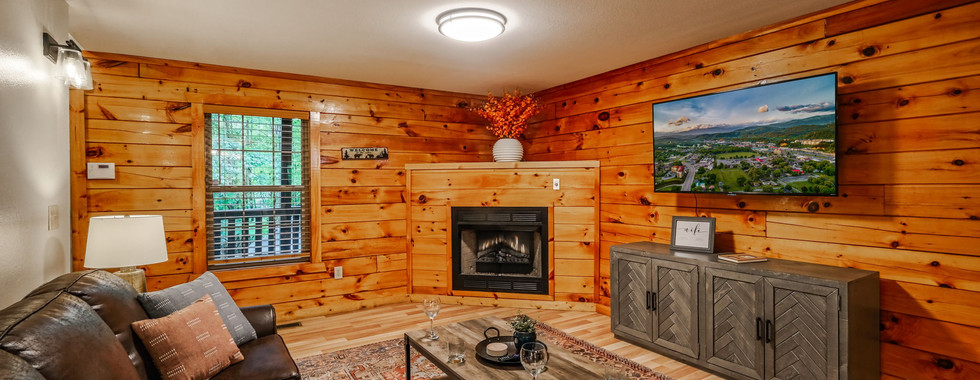 Rustic Living Area
