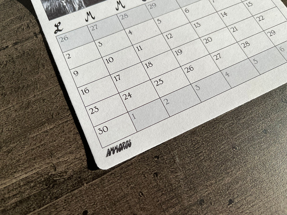 Miniature : Calendrier 2026 à coller