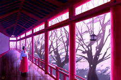 Lieu culte Shinto