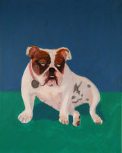 David Hockney inspired pet portrait of the English bulldog, Bella. Acrylic painting of dog by Andy England