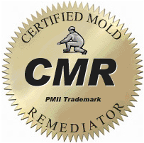 Logo cmr.gif