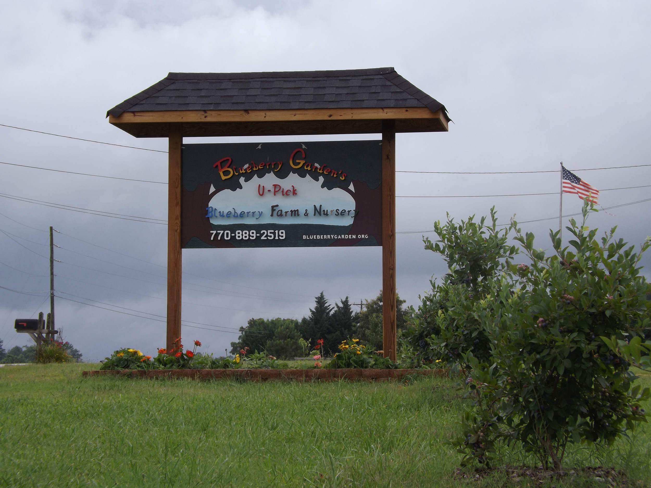 Blueberry Garden's U-Pick Blueberry Farm & Nursery photo