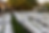 Tables for rent 1.png