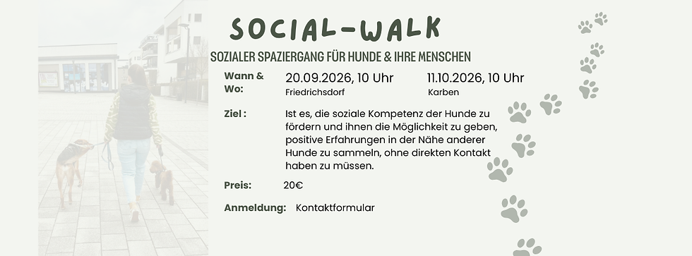 Kopie von Social-Walk (Facebook-Titelbilder) (1).png