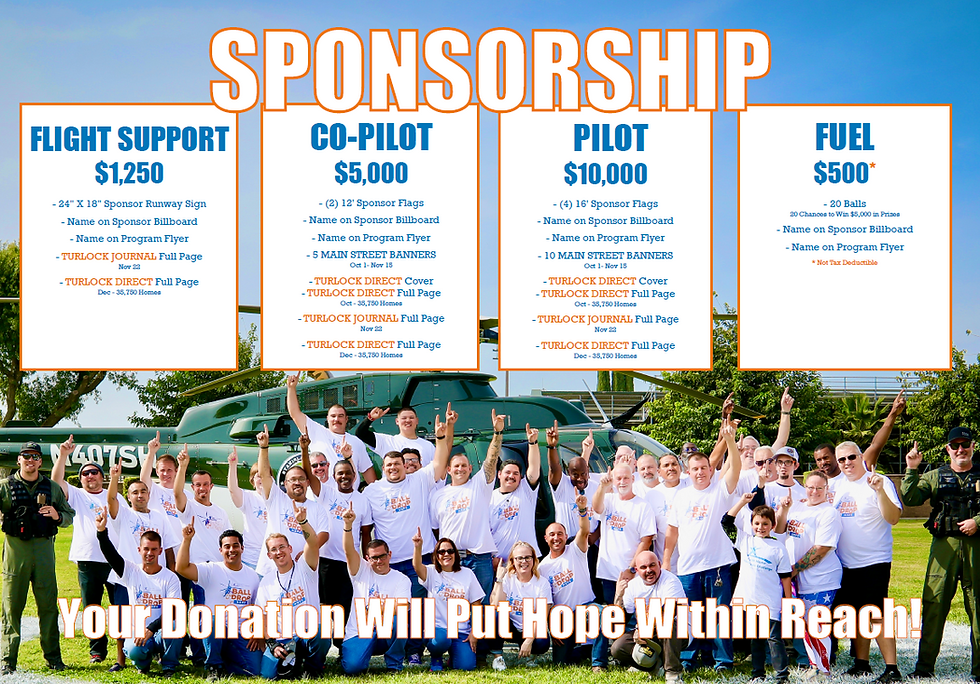 balldrop sponsor info.png