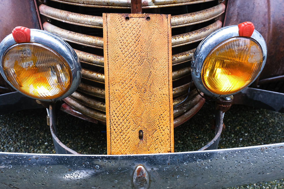 Thumbnail: Leather Fuel Gas Tank Panel Bib Tan Python Skin Softail Dyna Harley Davidson