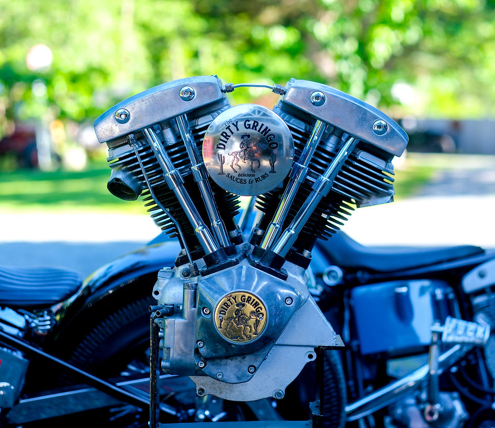 Thumbnail: Dirty Gringo Dead Horse Brass Shovelhead Evo Points Timing Cover Harley Davidson