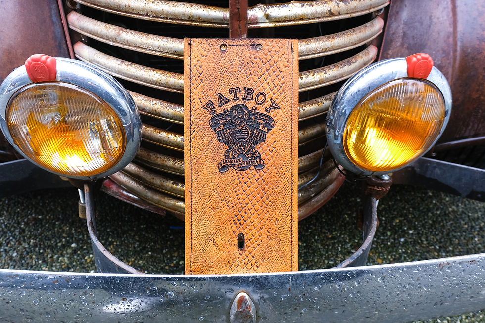 Thumbnail: Leather Fuel Gas Tank Panel Bib Tan Python Skin Softail Fatboy image 1 Leather