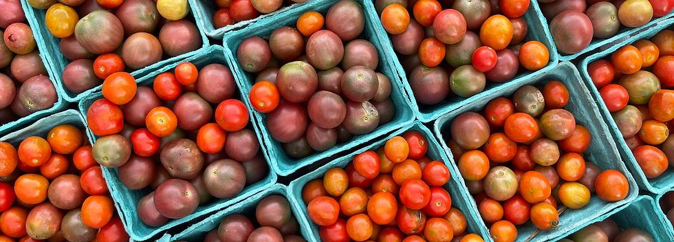 Selection of cherry tomatoes from Belle Meadow Farm.