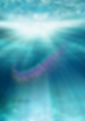 IMG_2718 3.PNG