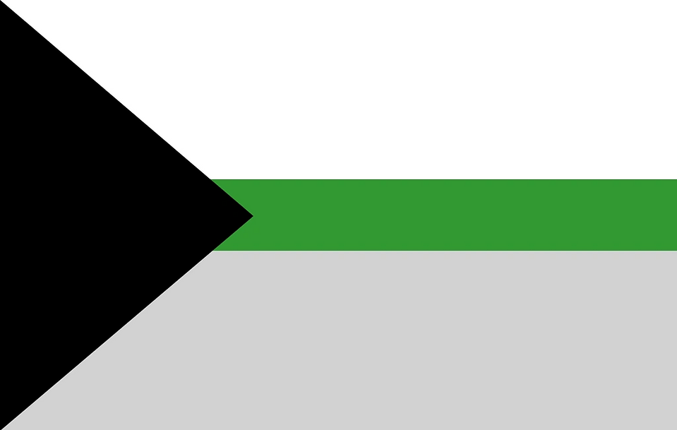 Demiromantic Flag