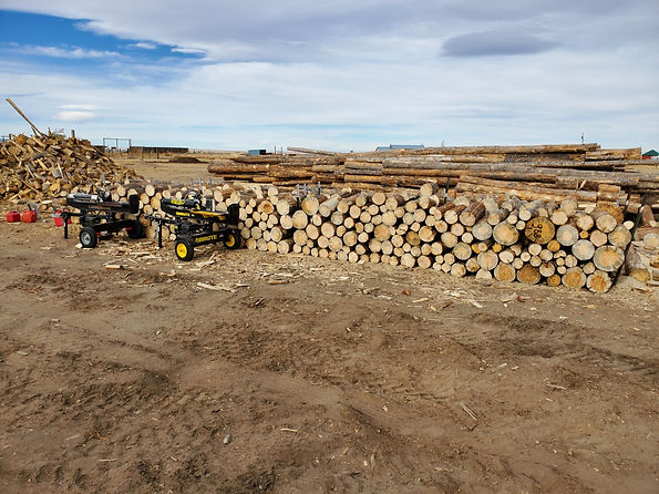 November firewood picture.jpg