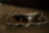DSC_3173.JPG