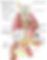 Screenshot 2025-07-07 at 3.06.51 PM.png
