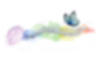 Spinal Flow White Background.jpg