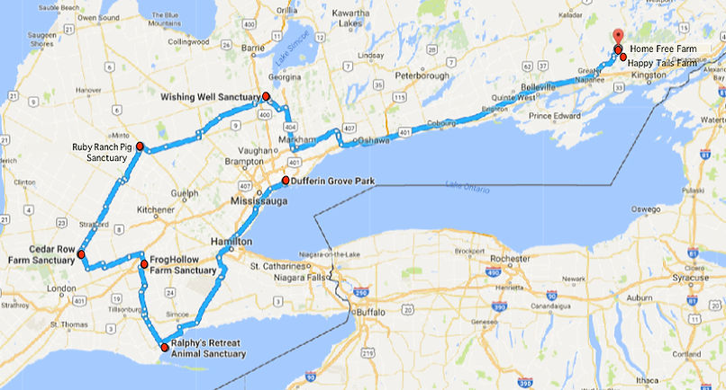 Walking Map from Dufferin Grive to Home Free Farm