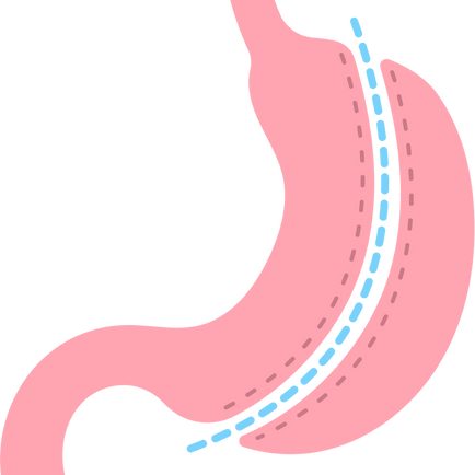 Maximising Results: 10 Reasons Why A Dietitian Is Beneficial After Weight Loss Surgery