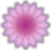 Meditation Training - The School of Meditation and Oneness/Essence of the Himalayas
