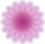 Meditation Teacher Training - The School of Meditation and Oneness