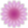 Meditation Teacher Training - The School of Meditation and Oneness