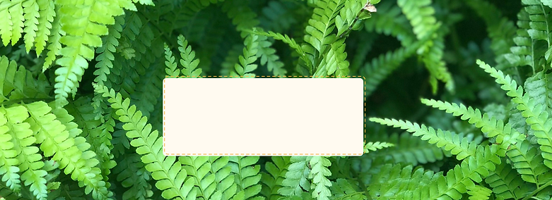 Copy of Website-Main-banners (1).png