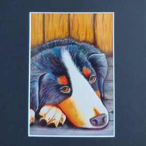 Reproduction extraite de "J'ai perdu ma balle"