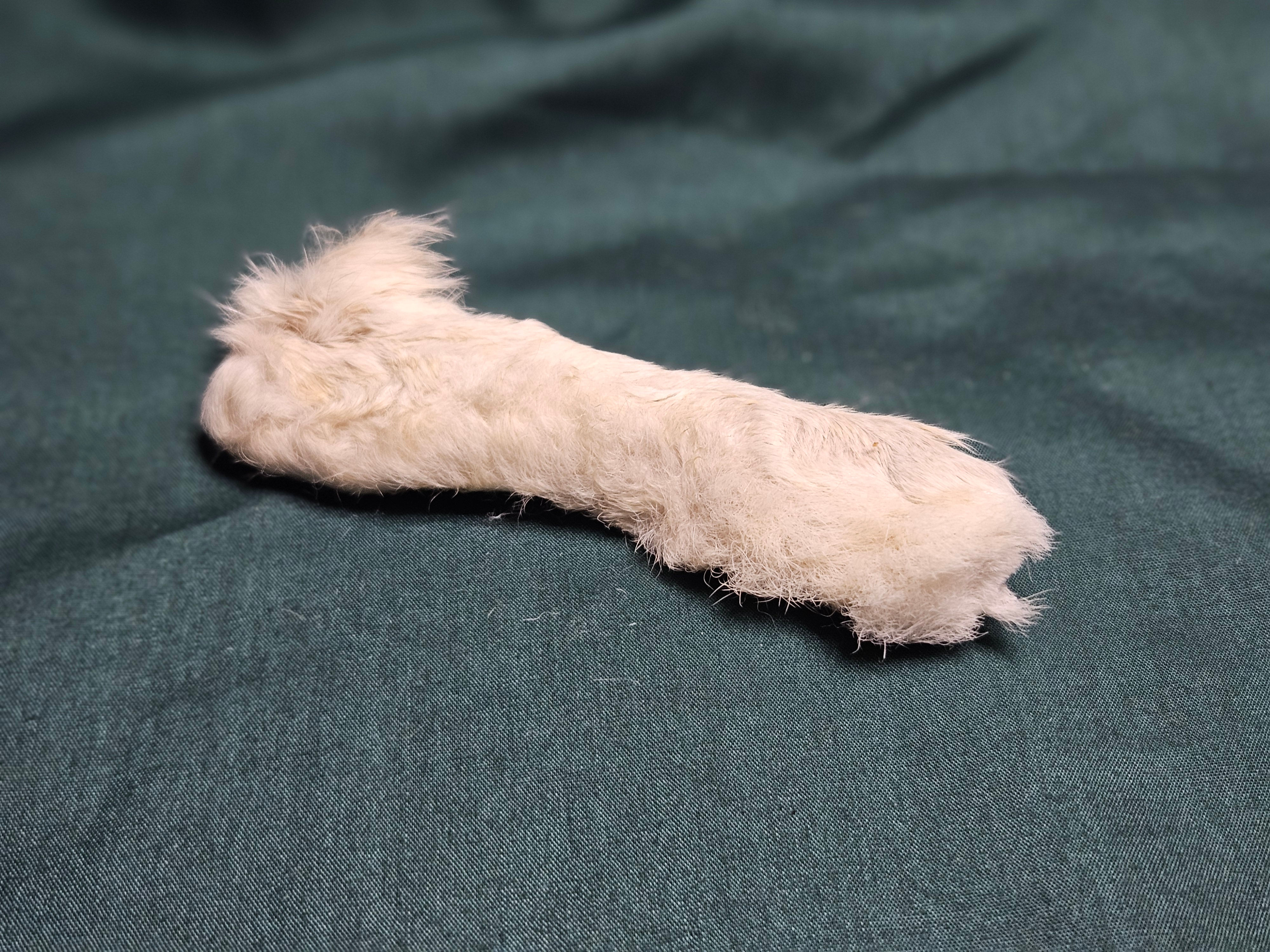 Hairy Rabbit Feet