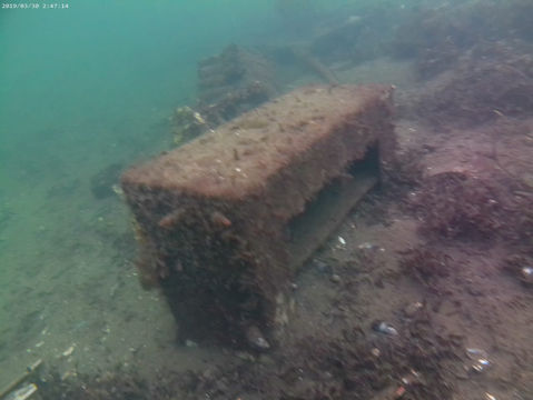 WhatsApp Image 2023-02-21 at 20.25.17 (1).jpeg