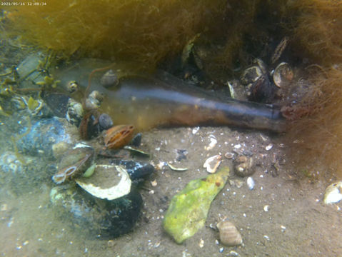 WhatsApp Image 2023-02-21 at 20.25.20.jpeg