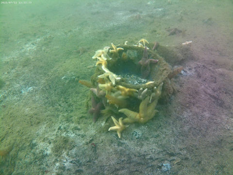 WhatsApp Image 2023-02-21 at 20.25.21 (5).jpeg