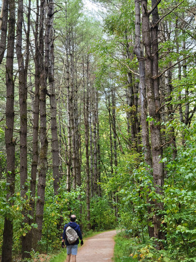 Walking from Blue Hole