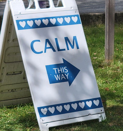 Calm This Way Sign