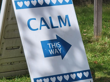 Calm This Way Sign