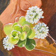 succulents gouache painting