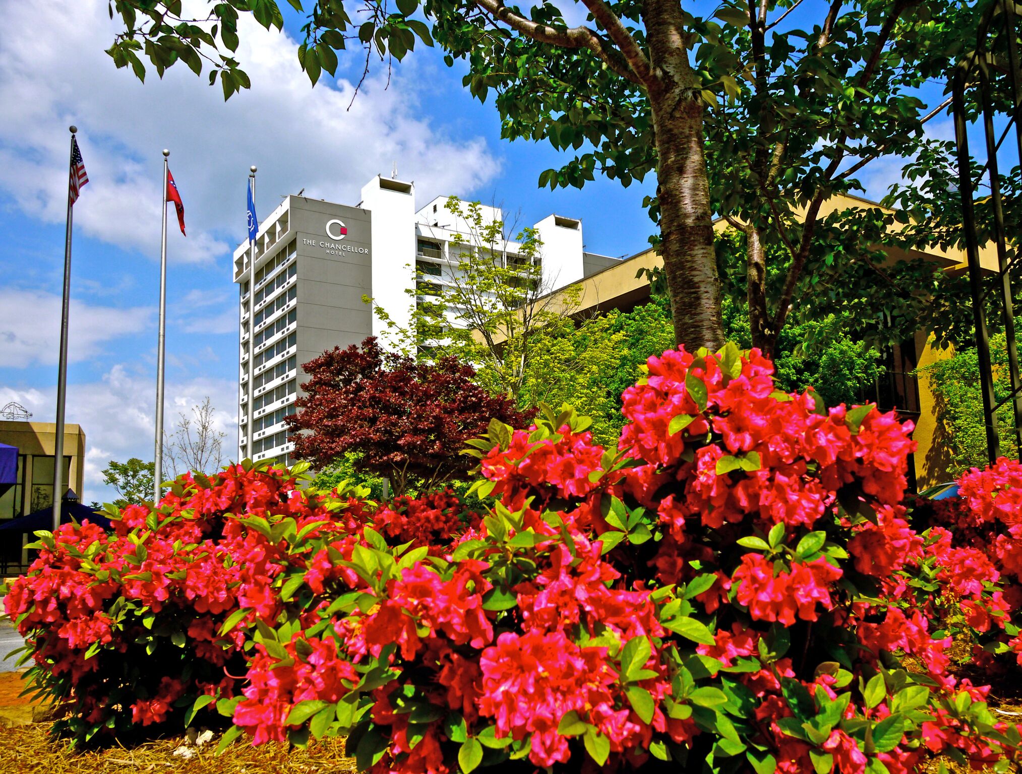 Chancellor Hotel