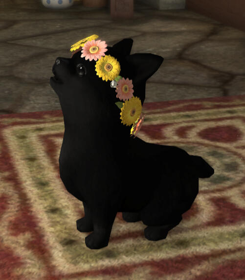 Character Image