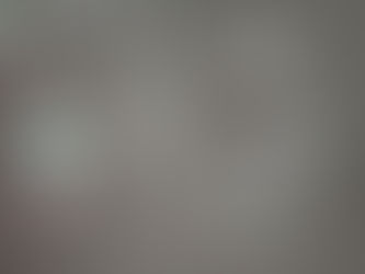 A Tradition Reimagined: The Story of the Easter Egg Tree