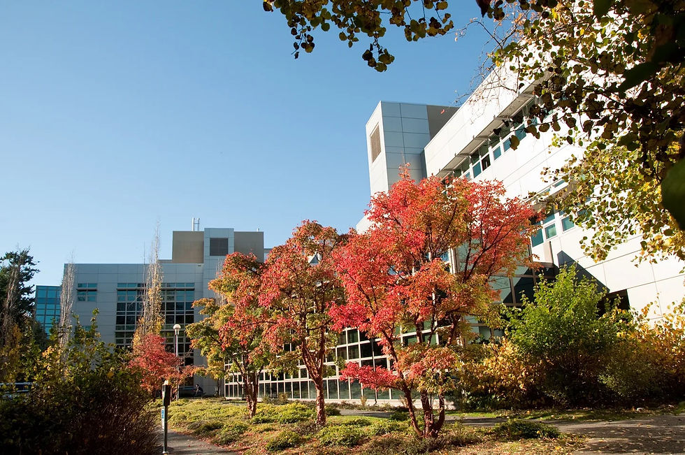 加拿大維多利亞大學