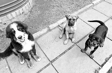 PHOTO-2024-02-26-13-42-51_edited.jpg