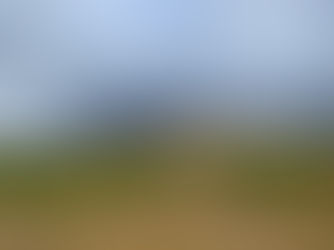 Quinoa : Origines, bienfaits, variétés, recettes… Le guide complet