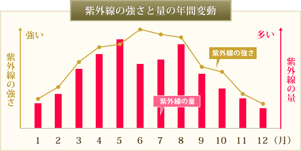 紫外線はいつから?