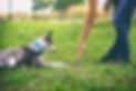 istockphoto-941166350-612x612.jpg