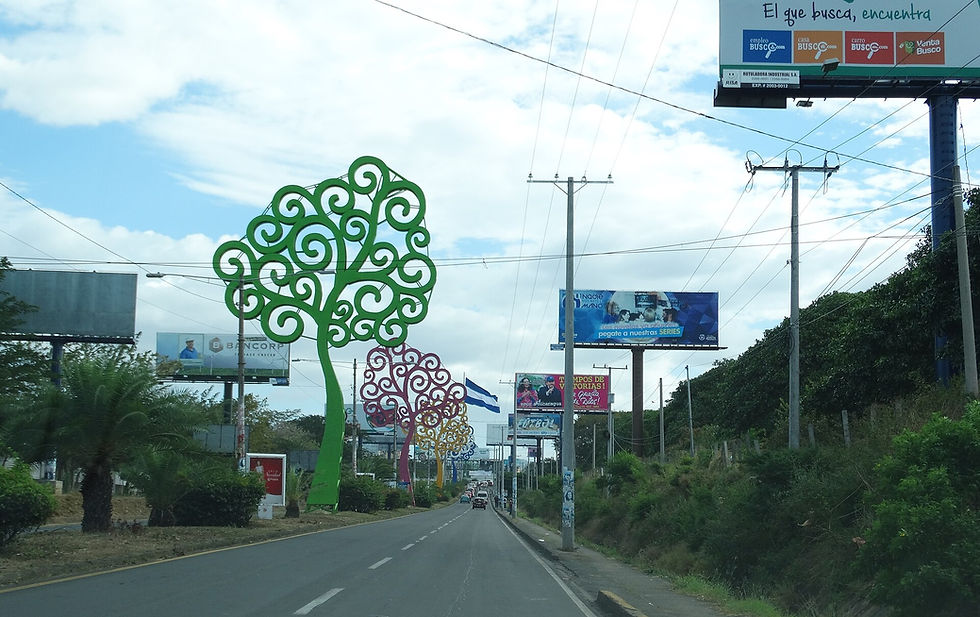 Nicaragua trees of life.jpg