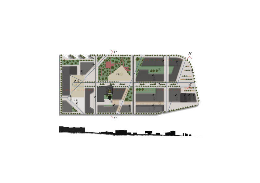 Site Plan and Site Section