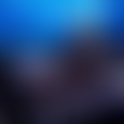 Bolsonaro pede a Globo para ser entrevistado ao vivo, mas não será