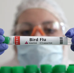 Governo decreta estado de emergência zoossanitária em todo o país