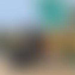 Governo já identificou em dez estados financiadores de atos terroristas, diz ministro da JustiçaMin