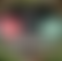 Semifinais da Libertadores 2023: veja datas, horários e onde assistir