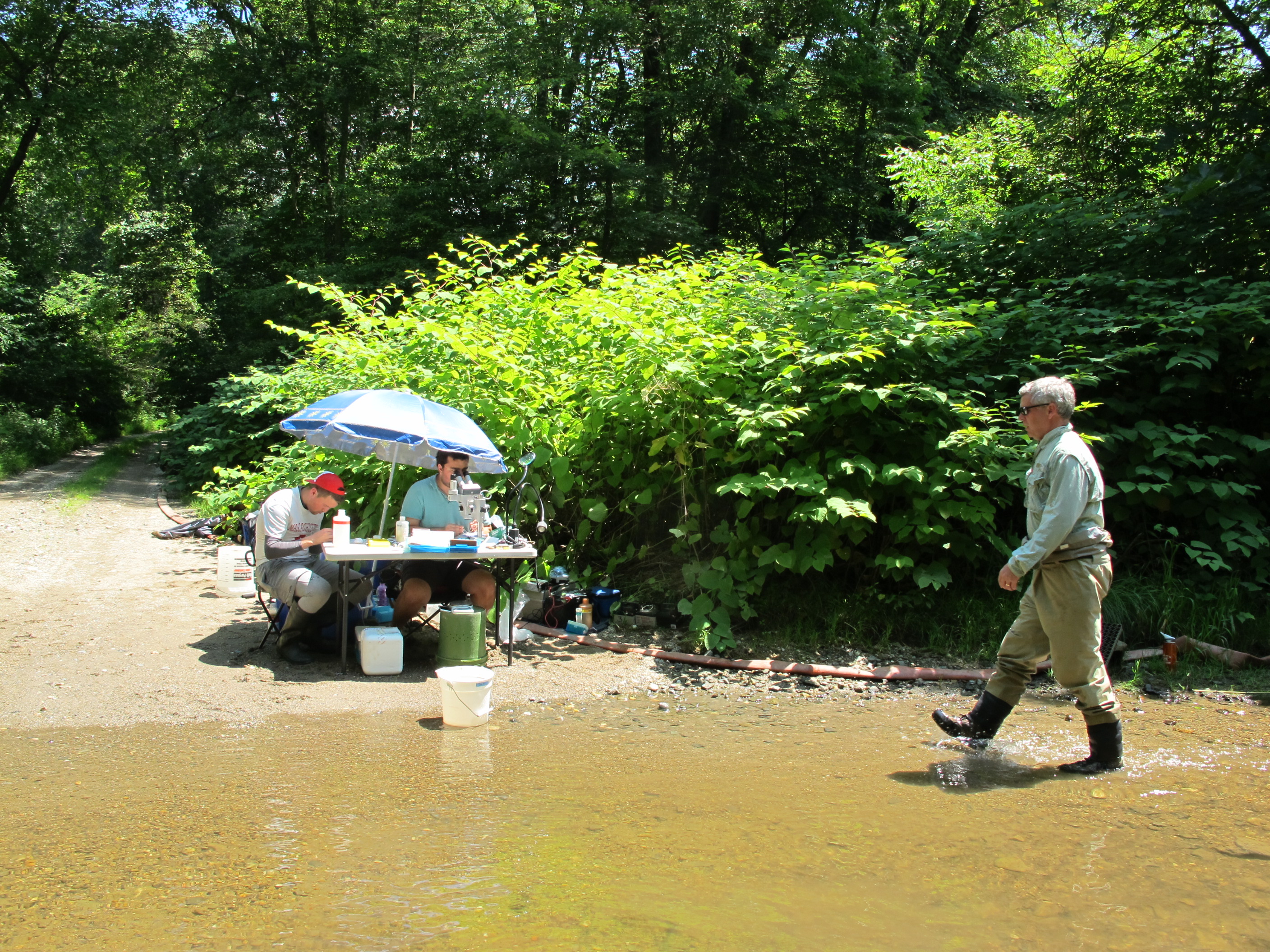 Field sampling 2017